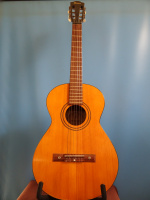 framus_rio 5/14